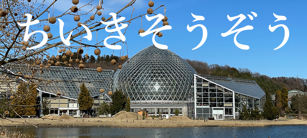 植物園とプラタナス